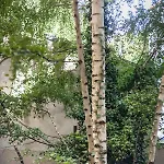 Centrally Located 2-room Apartament Hanower